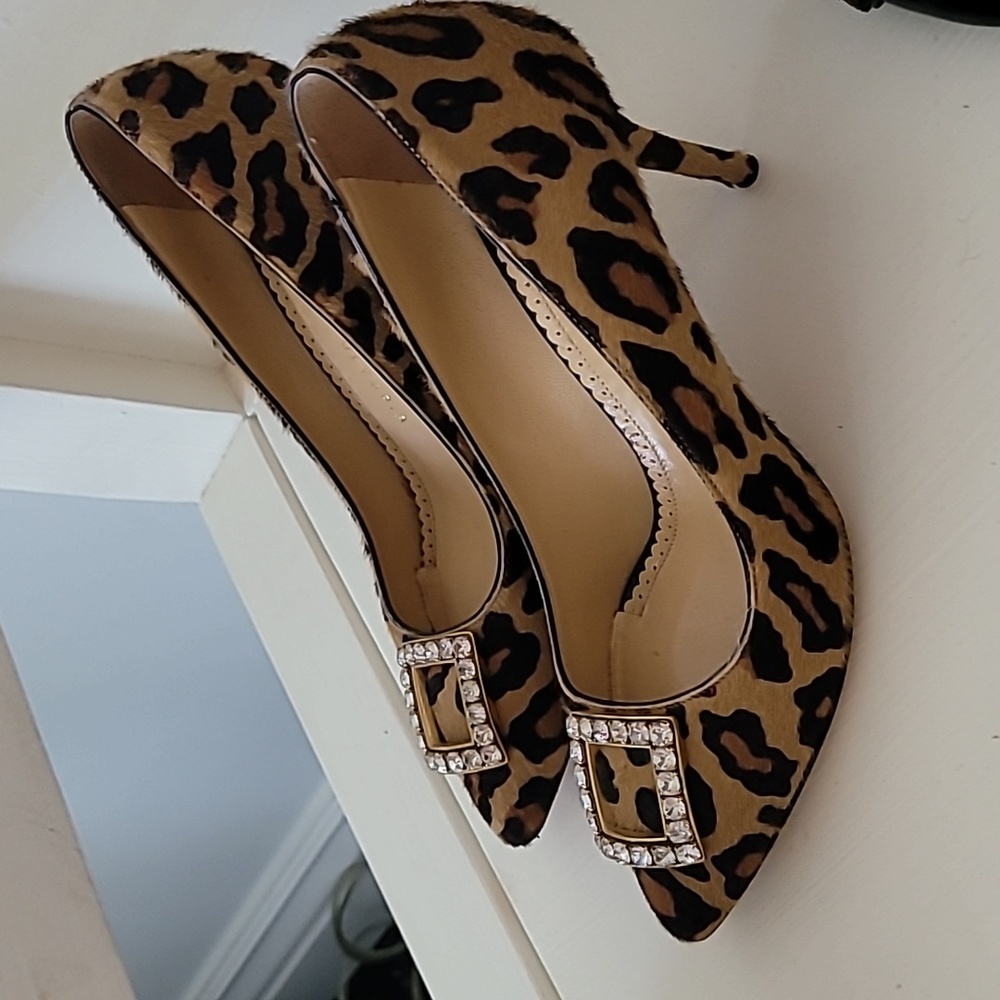 Charlotte Olympia 🐆 Heels